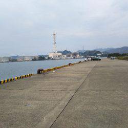 タチウオ厳しい