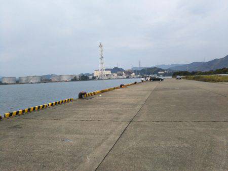 タチウオ厳しい