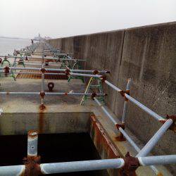 お兄さんとお姉さんが来ましたね。