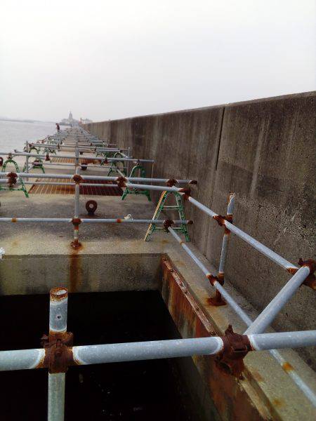 お兄さんとお姉さんが来ましたね。