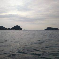 阿南市の辰巳でタチウオ