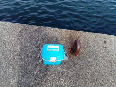 タコだけは良く釣れるんだけどなあ( ≧∀≦)ノ