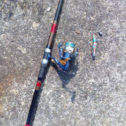 今朝は7つです(^_^)v