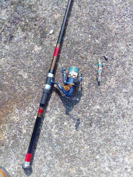 今朝は7つです(^_^)v