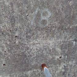 釣れないのは潮のせい、それとも腕?