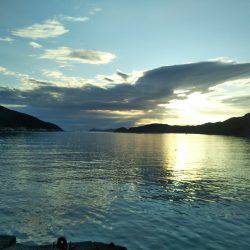 阿南市の椿泊タチウオ好調