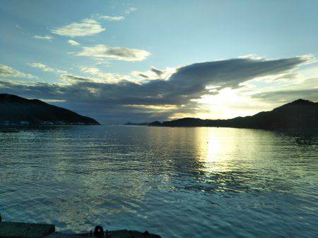 阿南市の椿泊タチウオ好調