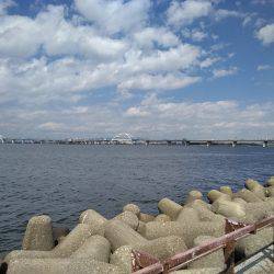 ビッグファイト+α