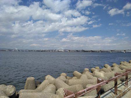 ビッグファイト+α