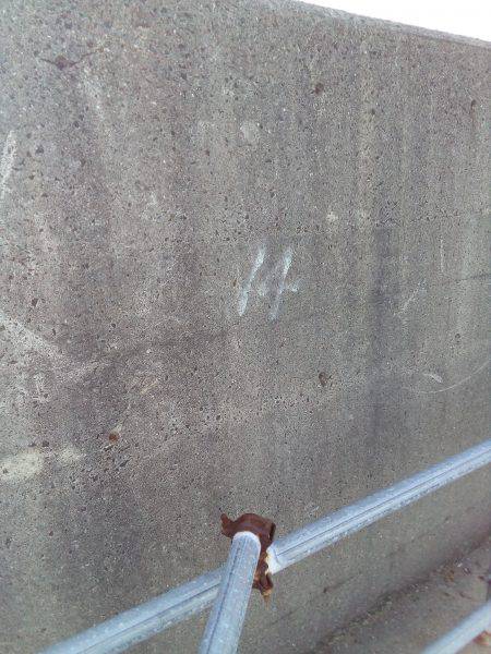 天気は最高なんだがなぁ~(  ̄ー ̄)