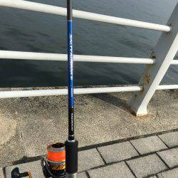 シーサイドコスモ