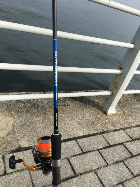 シーサイドコスモ