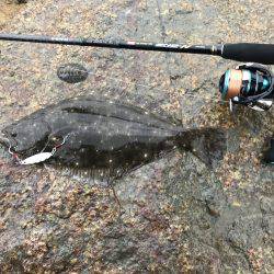 スーパーライトシャアジギング！！