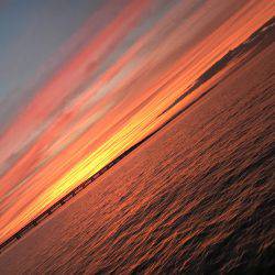 今年初タッチー調査