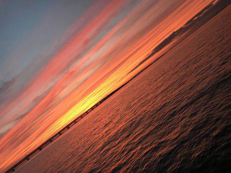 今年初タッチー調査