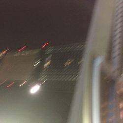 ついにタッチーがやってきた！