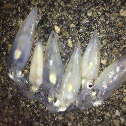 会社帰りプチエギング