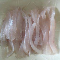 タチウオ絶好調！