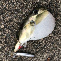 夕日に照らされながら