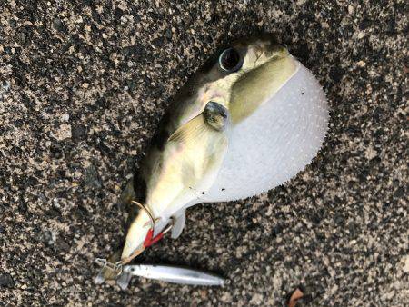 夕日に照らされながら