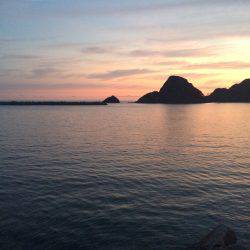 アジ釣り⑮ 久しぶりのアジ