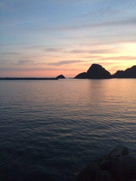 アジ釣り⑮ 久しぶりのアジ