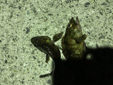 台風前にちょろっと