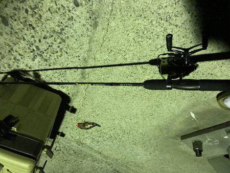 久々に2時間ほど