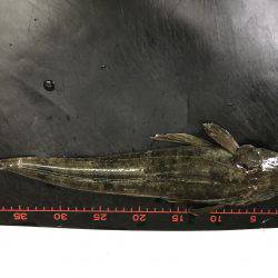 メッキ狙いでまさかの・・・