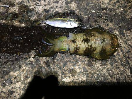 1泊2日の釣行 1日目