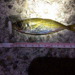 ぶらりアジング