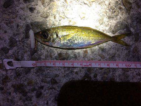 ぶらりアジング