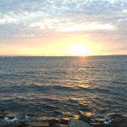 河口付近にて80cm越えシーバス 午後19時