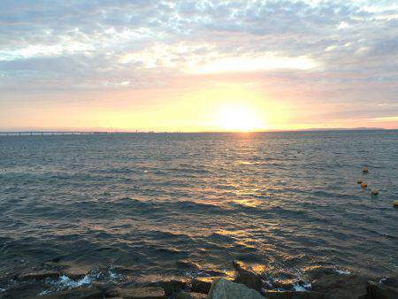 河口付近にて80cm越えシーバス 午後19時