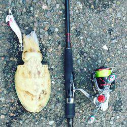 久しぶりの刀狩り