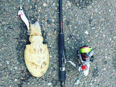 久しぶりの刀狩り