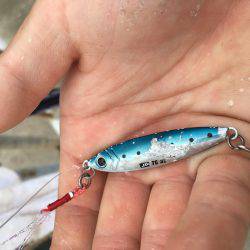 ポーアイ北公園、真昼間サクッと釣行でもサゴシ