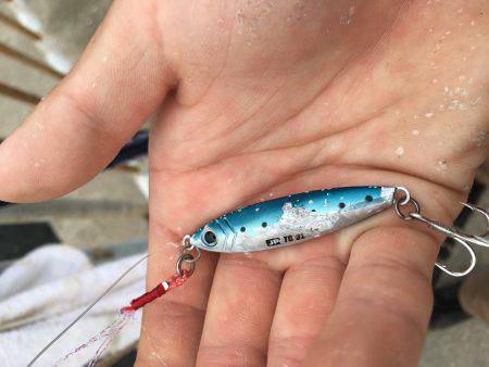 ポーアイ北公園、真昼間サクッと釣行でもサゴシ