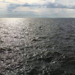 フォールで連発！