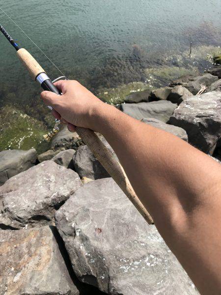 新子さんいらっしゃい♪