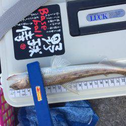 本命に思い届かず