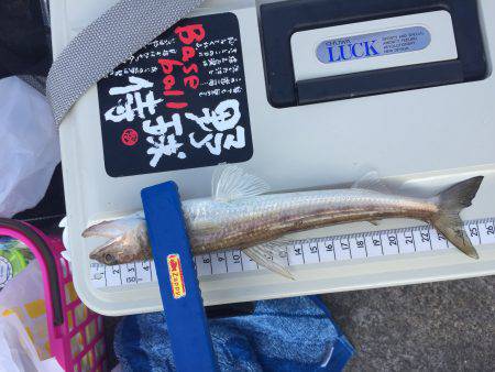 本命に思い届かず