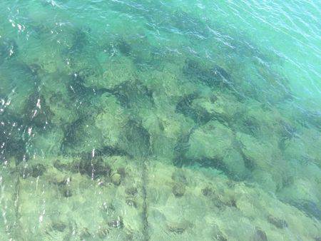 古浦海水浴場サーフにて