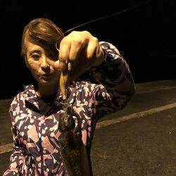 今夜も新子釣り