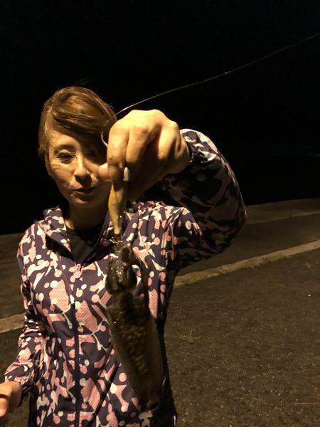 今夜も新子釣り