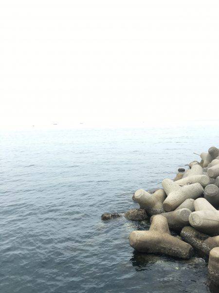 雨予報の中アオリイカ