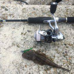 メタルマル爆釣