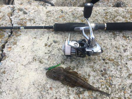 メタルマル爆釣