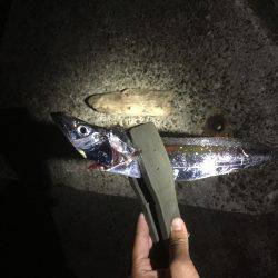 少ないアタリの中