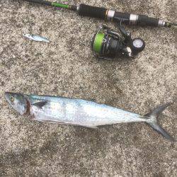 ウキ→ワインド→ショアジギ